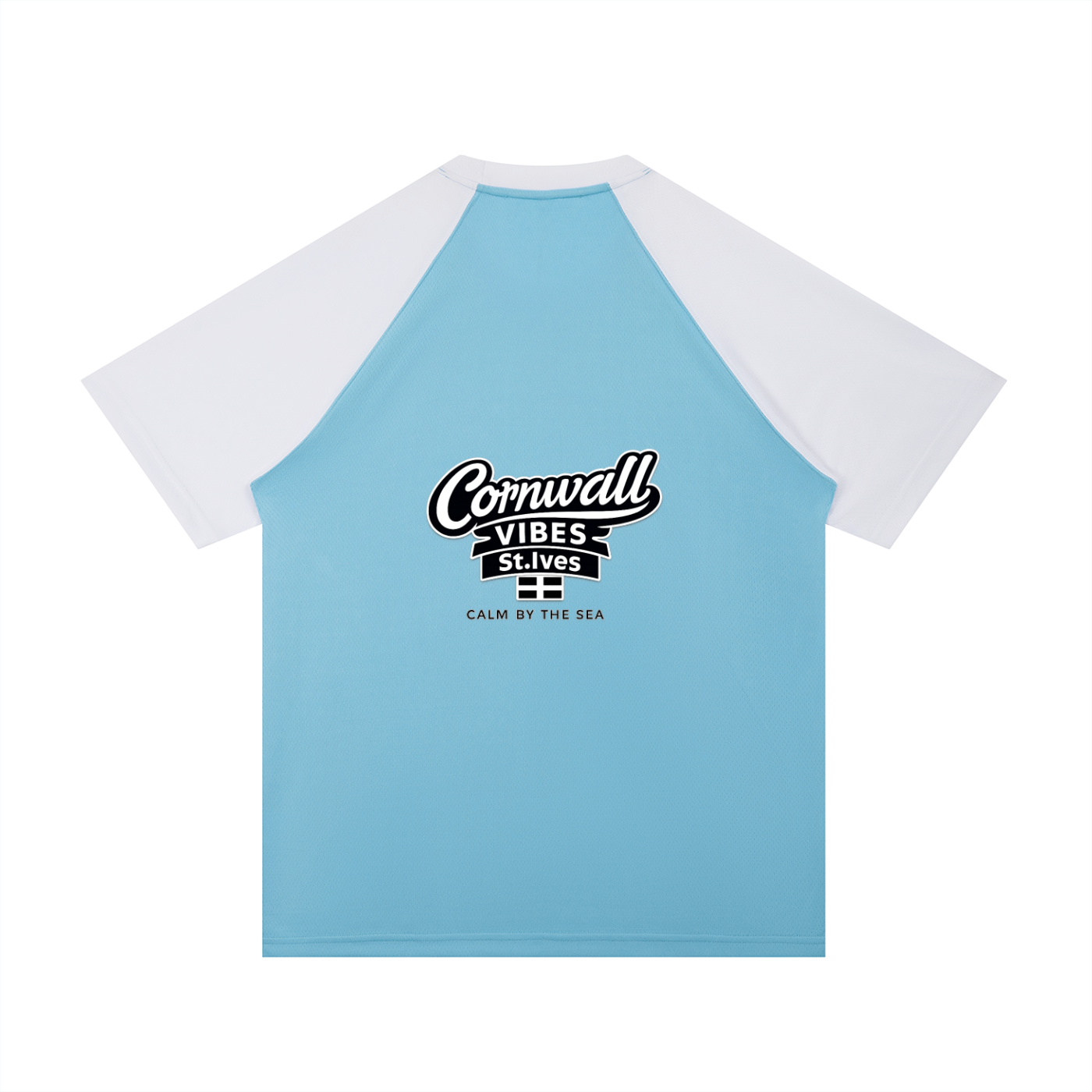 Contrast Raglan Sleeve Mesh T-Shirt